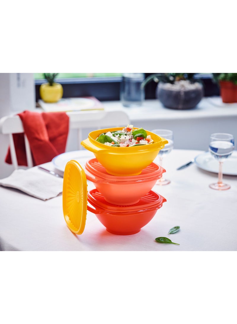 توبروير طقم سلطانيات 830 مل ( 3) - Image 2